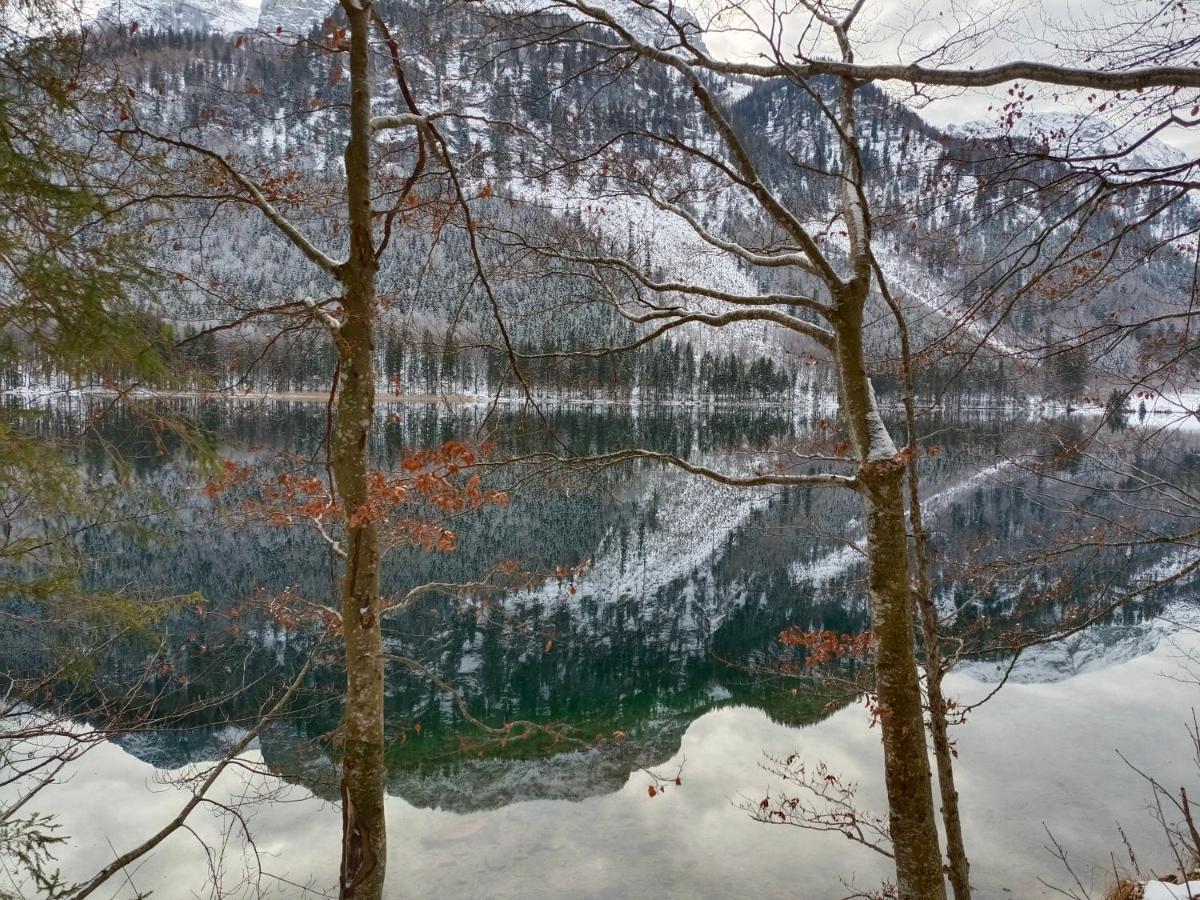 Gasthof Roitner เอเบินซี ภายนอก รูปภาพ